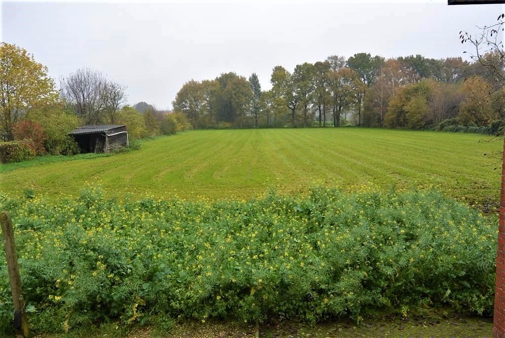 Prachtig gelegen bouwgrond met weiland op ca. 76 are te Westerlo (Heultje) 