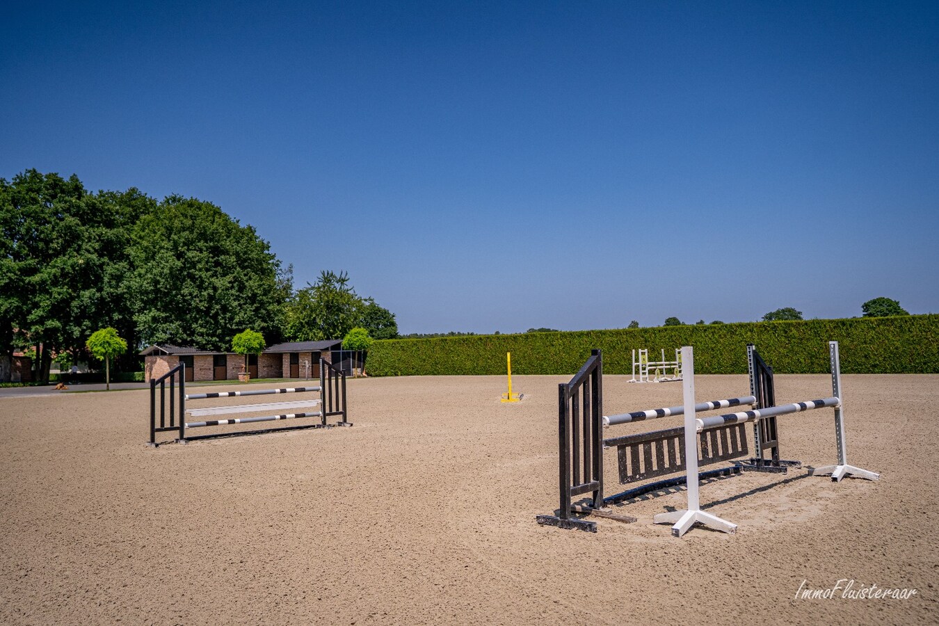 Complete horse accommodation on approximately 3.5 hectares in Helchteren 
