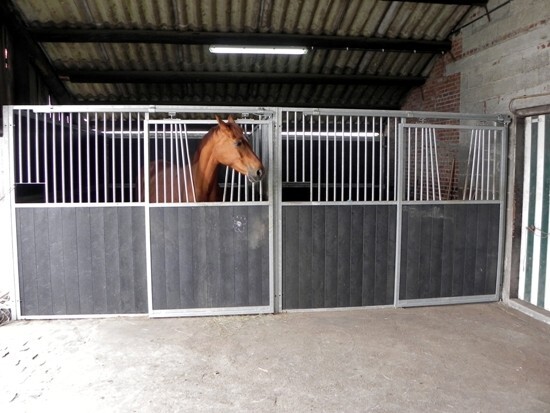 Hoeve met stallingen op 8.186 m&#178; te Wuustwezel 