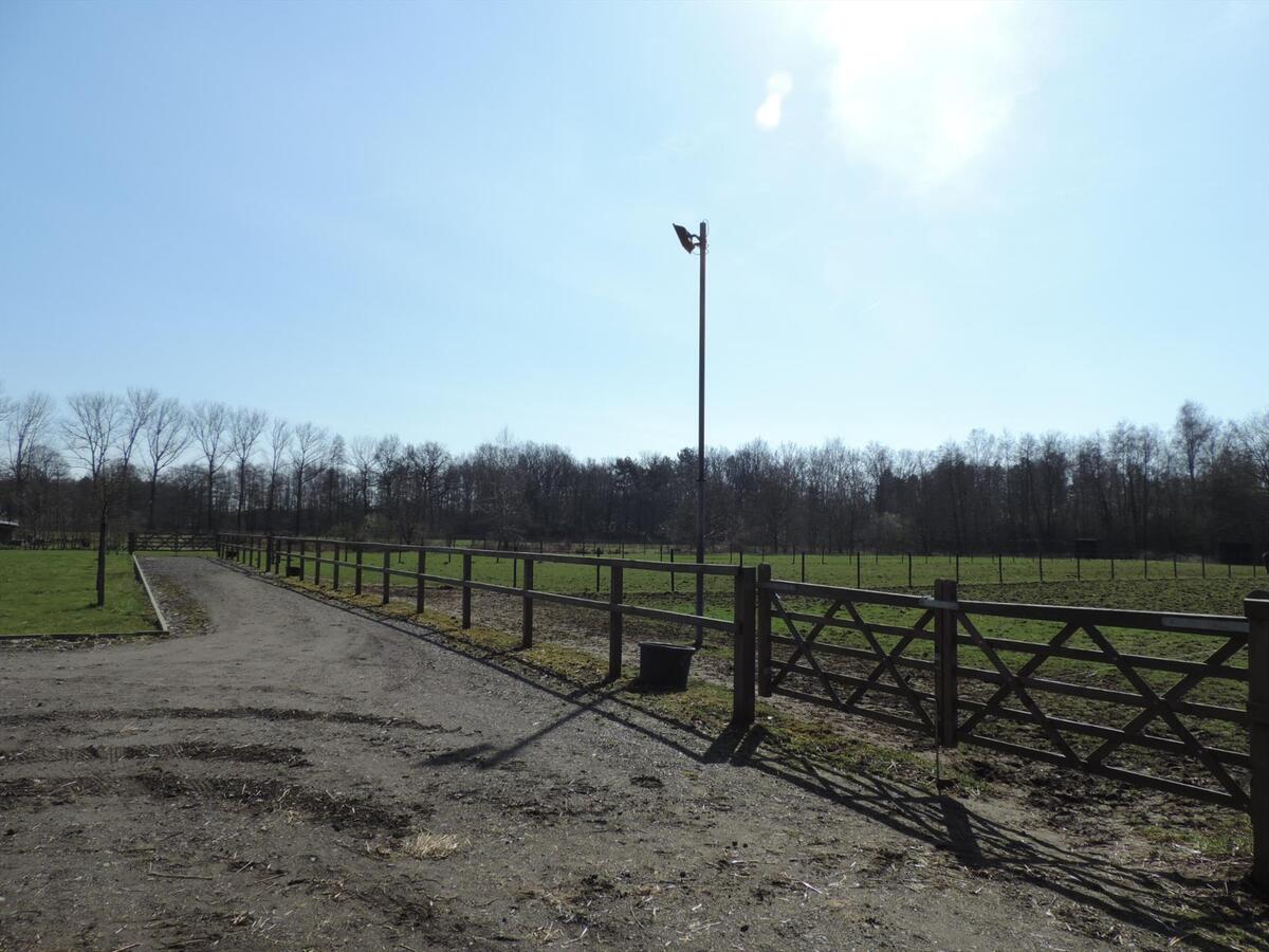 Prachtige gezinswoning met paardenstallen en buitenpiste op ca. 2,61ha te Lummen 