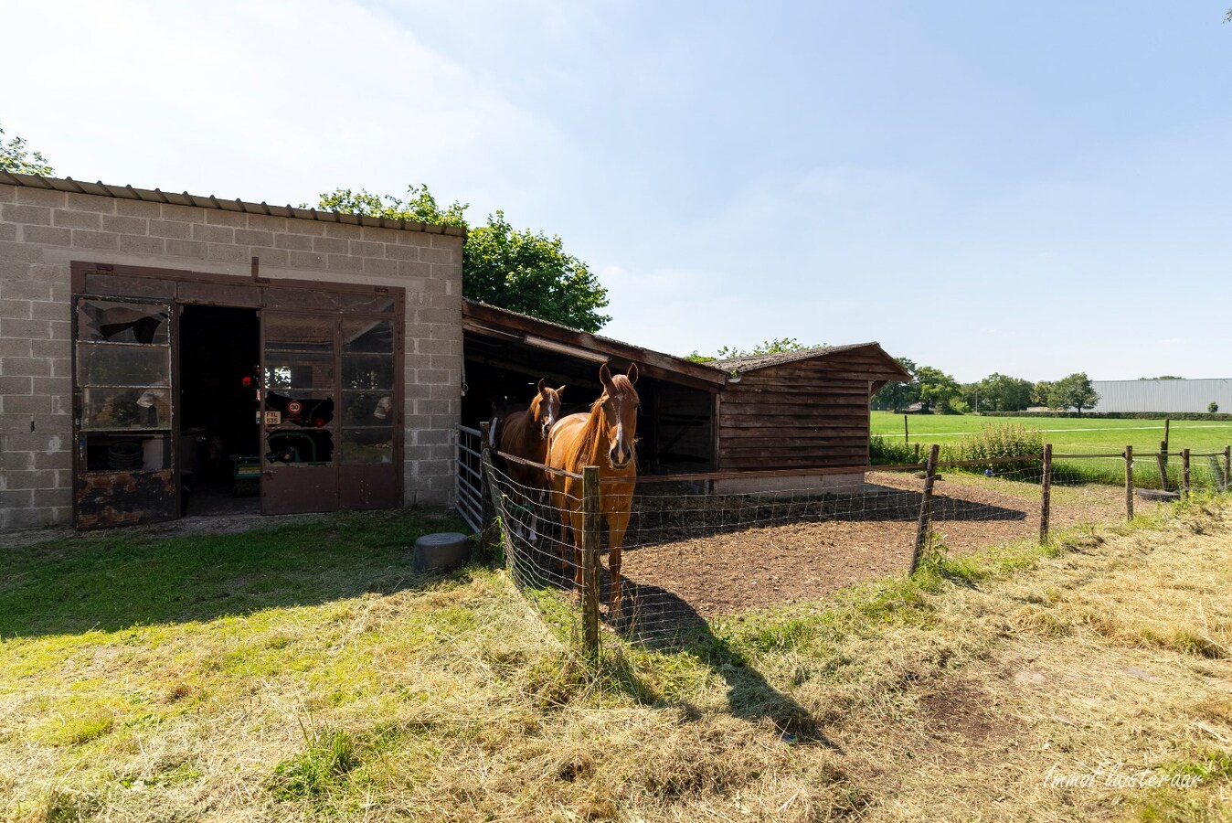 Prachtige hoeve met weilanden en stallen op ca. 2,1 ha te Kaulille (Bocholt) 