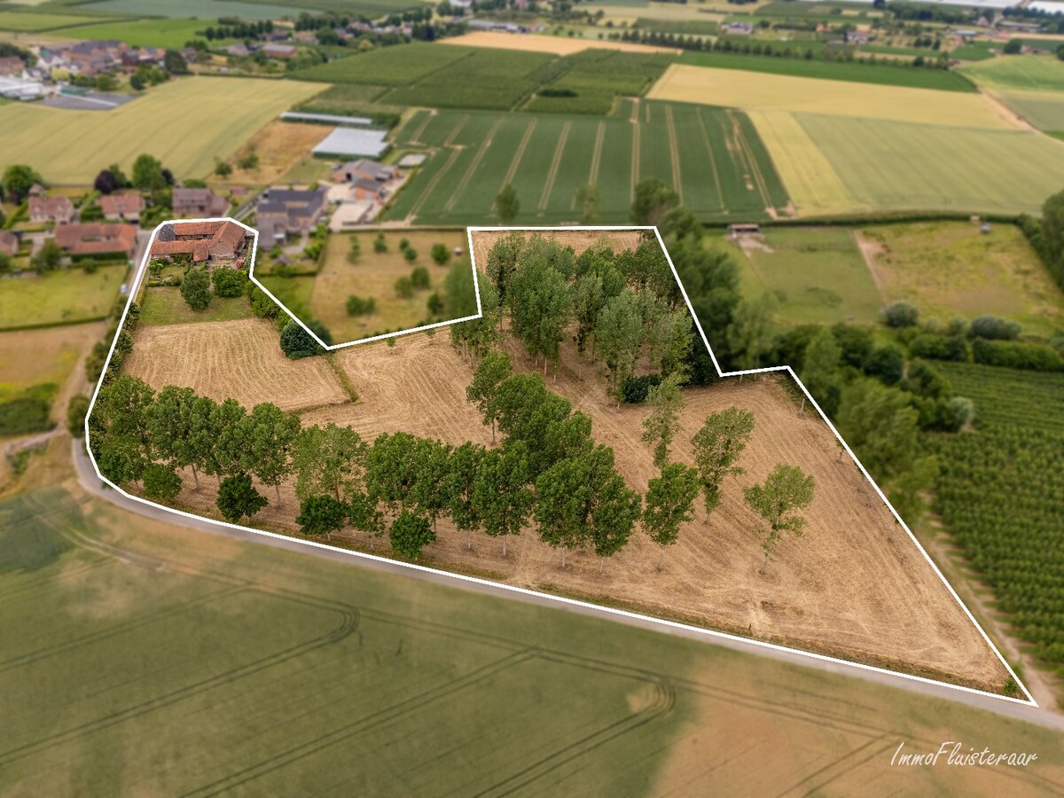 Charmante vierkantshoeve met veel potentieel op ca. 3,14 ha te Tongeren 