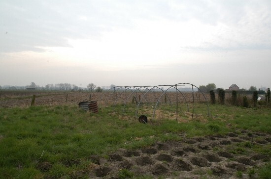 Farm sold in Nieuwenrode