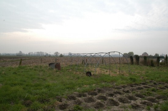 Ferme vendu À Nieuwenrode