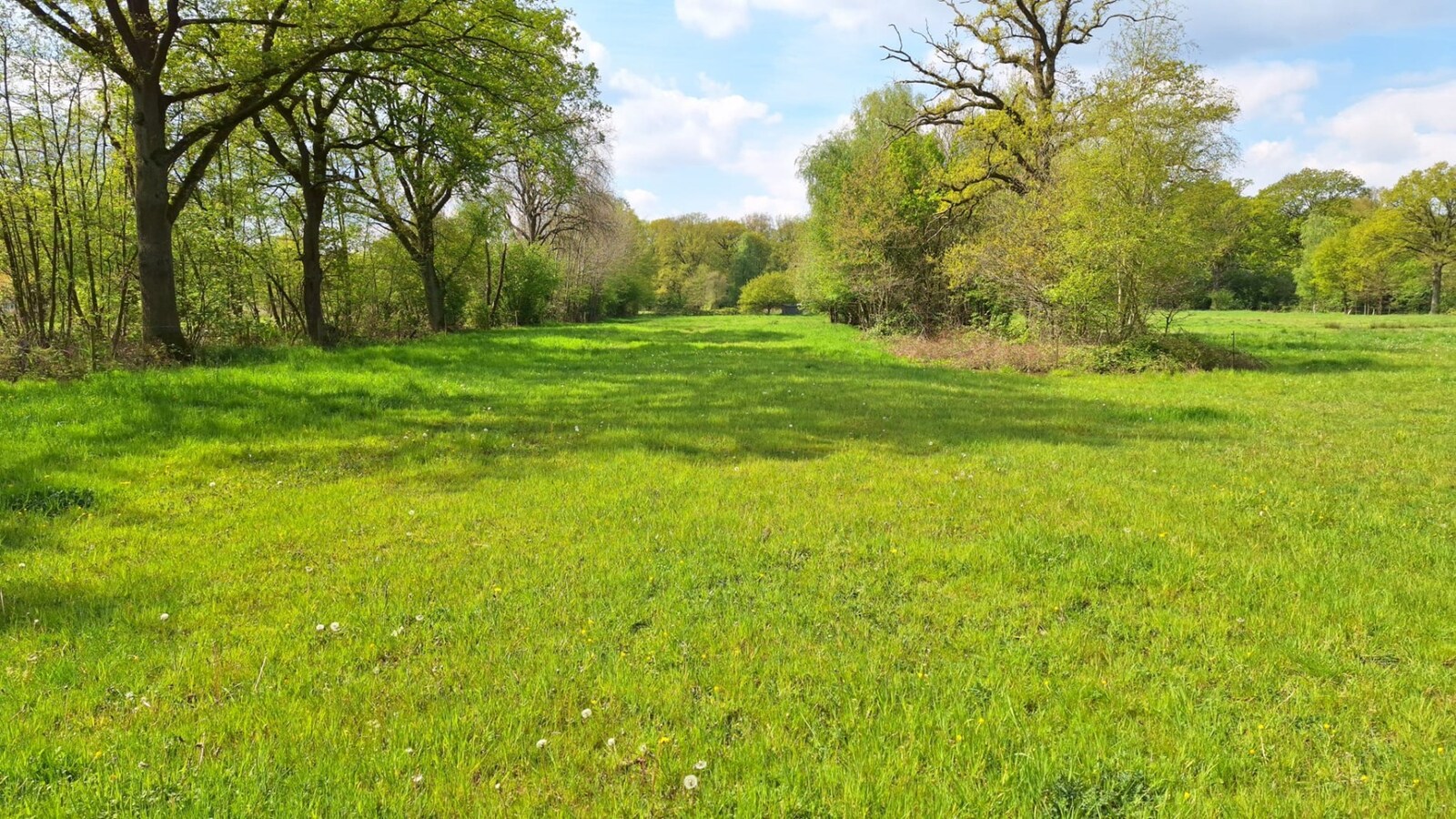 Land for sale in Maaseik