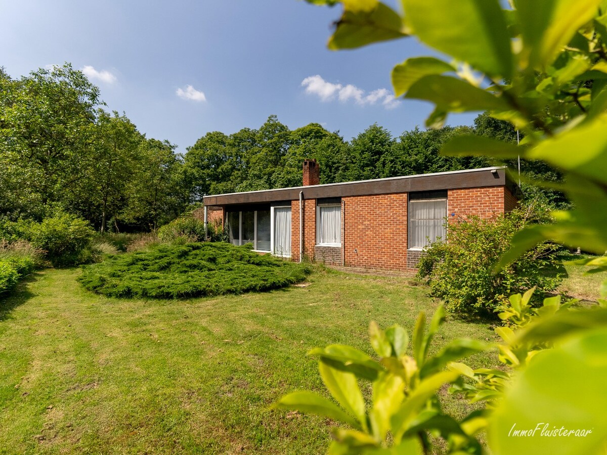 Uniek domein met woning op ca. 3,6 ha gelegen te Balen (optie tot aankoop ca. 10 ha aanpalend bos- en weiland) 