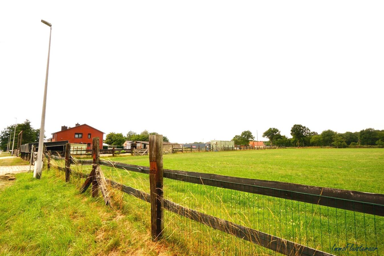 Instapklare woning met paardenstallen en weides te Heppen op ca. 2 ha 