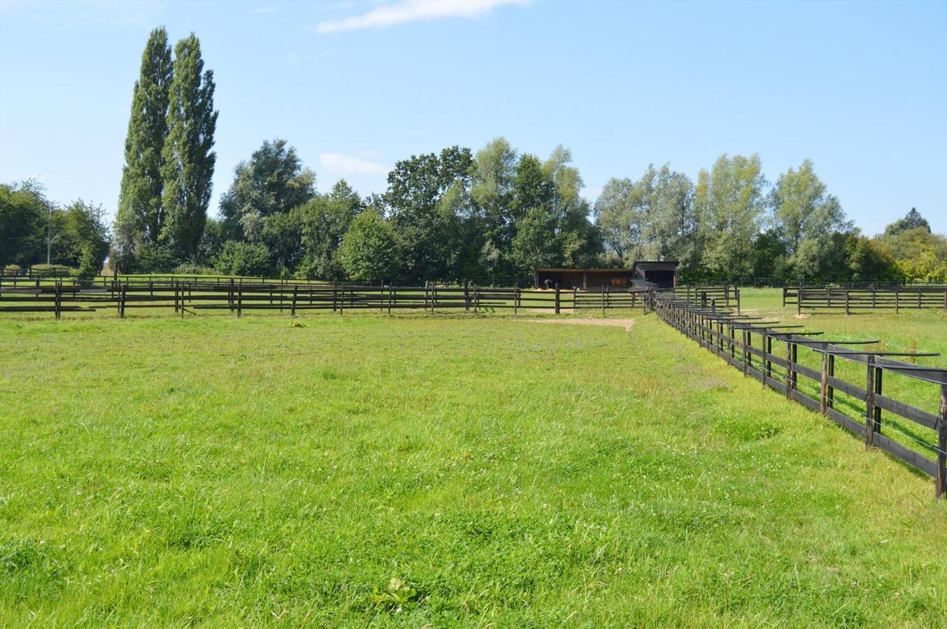 Paardenhouderij met 40 stallen en drafbaan op 4,64ha te Brakel 