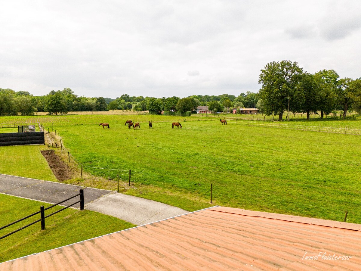 Spacious house with stable building and pastures on approximately 3.8 hectares in Berlaar. 