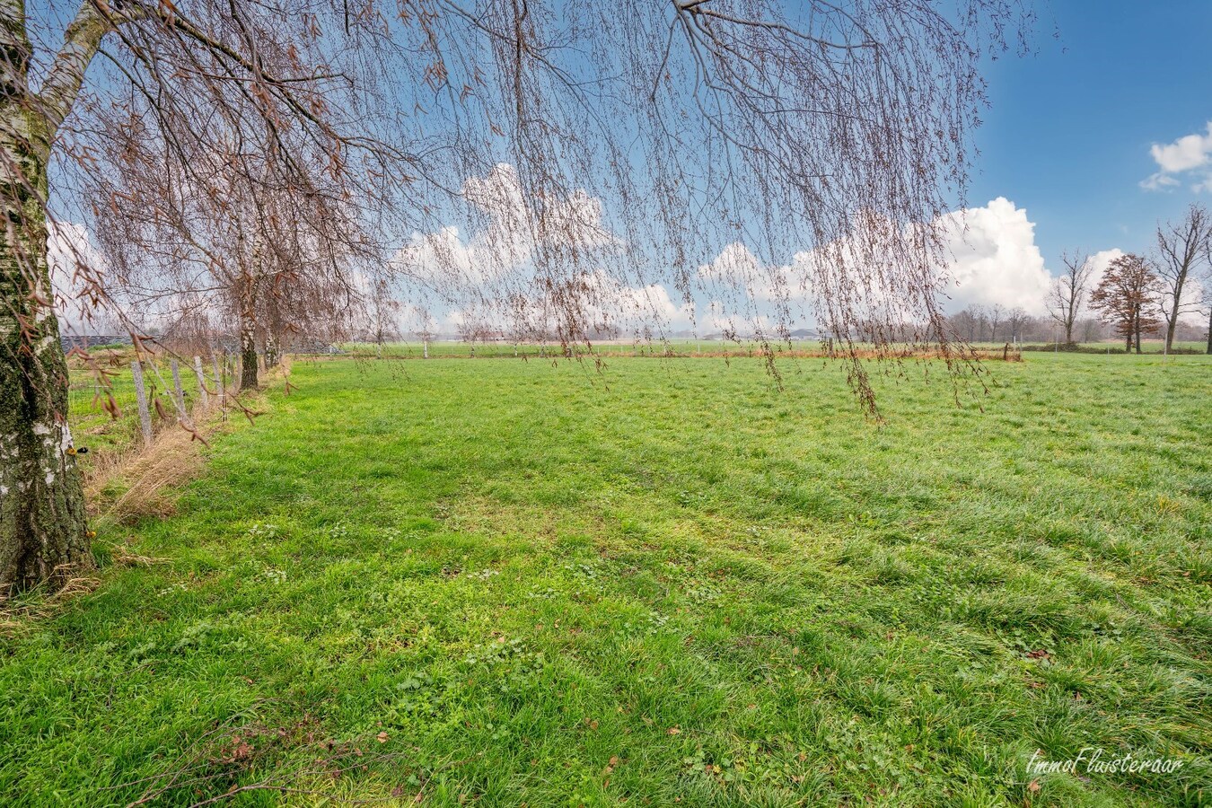 Instapklare hoevewoning met stallen op ca. 45 are te Kinrooi 