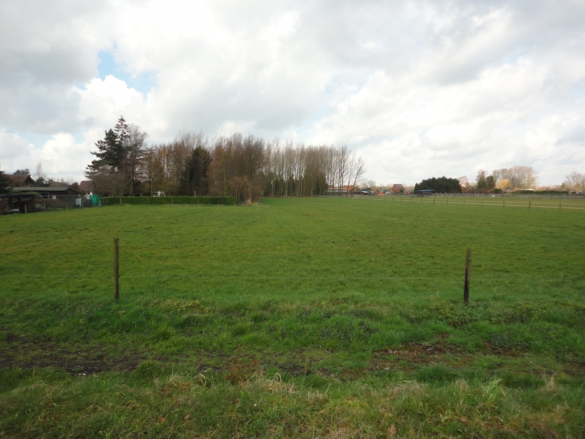 Mooie eengezinswoning met stallen en weide op ca. 0,75Ha te Moerbeke-Waas 