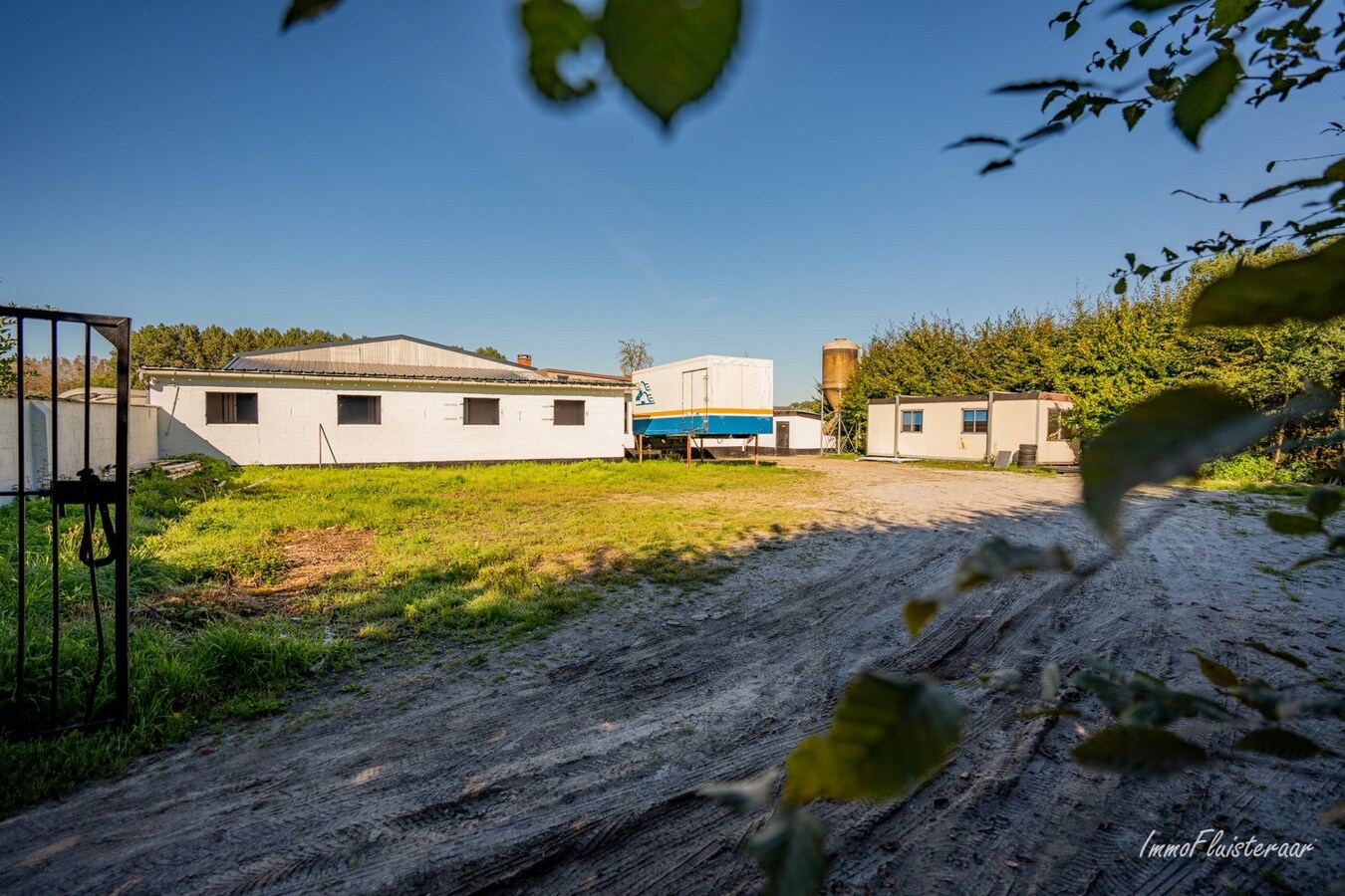 Paardenaccommodatie met binnenpiste op ca. 6ha te Wellen 