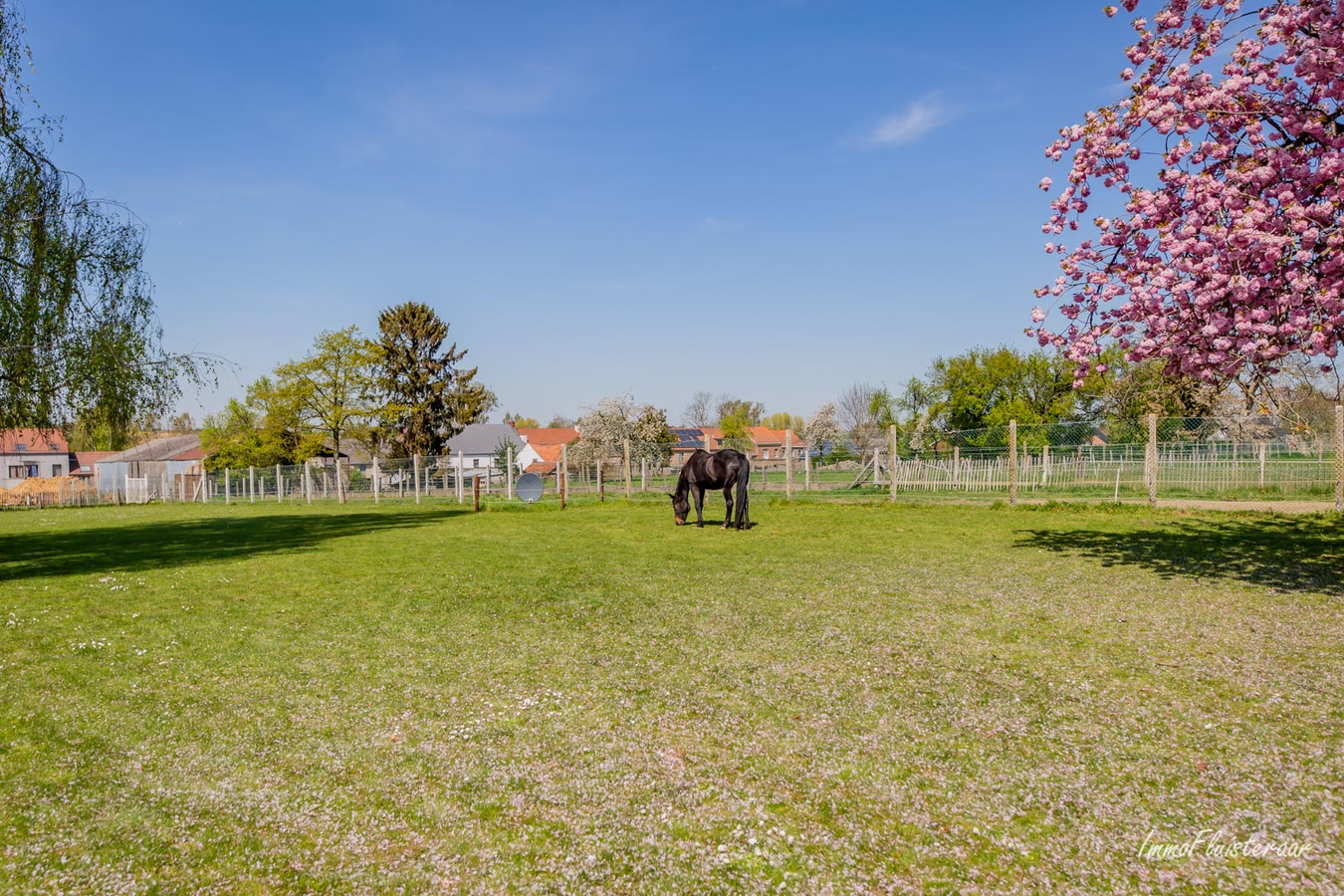 Belle maison de campagne sur env. 1ha &#224; Zittert-Lummen (Jodoigne/Brabant wallon) 