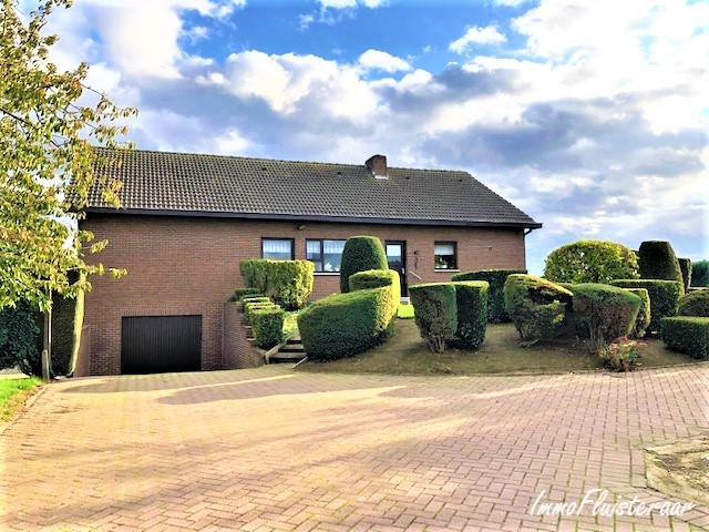 Woning in rustige omgeving op ca. 58a te Bree (ca. 3ha extra mogelijk!) 