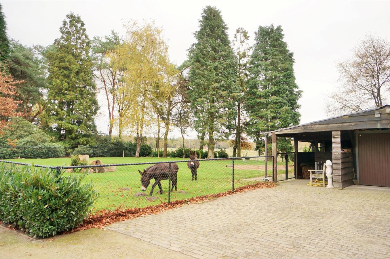 Prachtige moderne villa op ca. 2,8 ha met zwembad en poolhouse te Rijkevorsel 