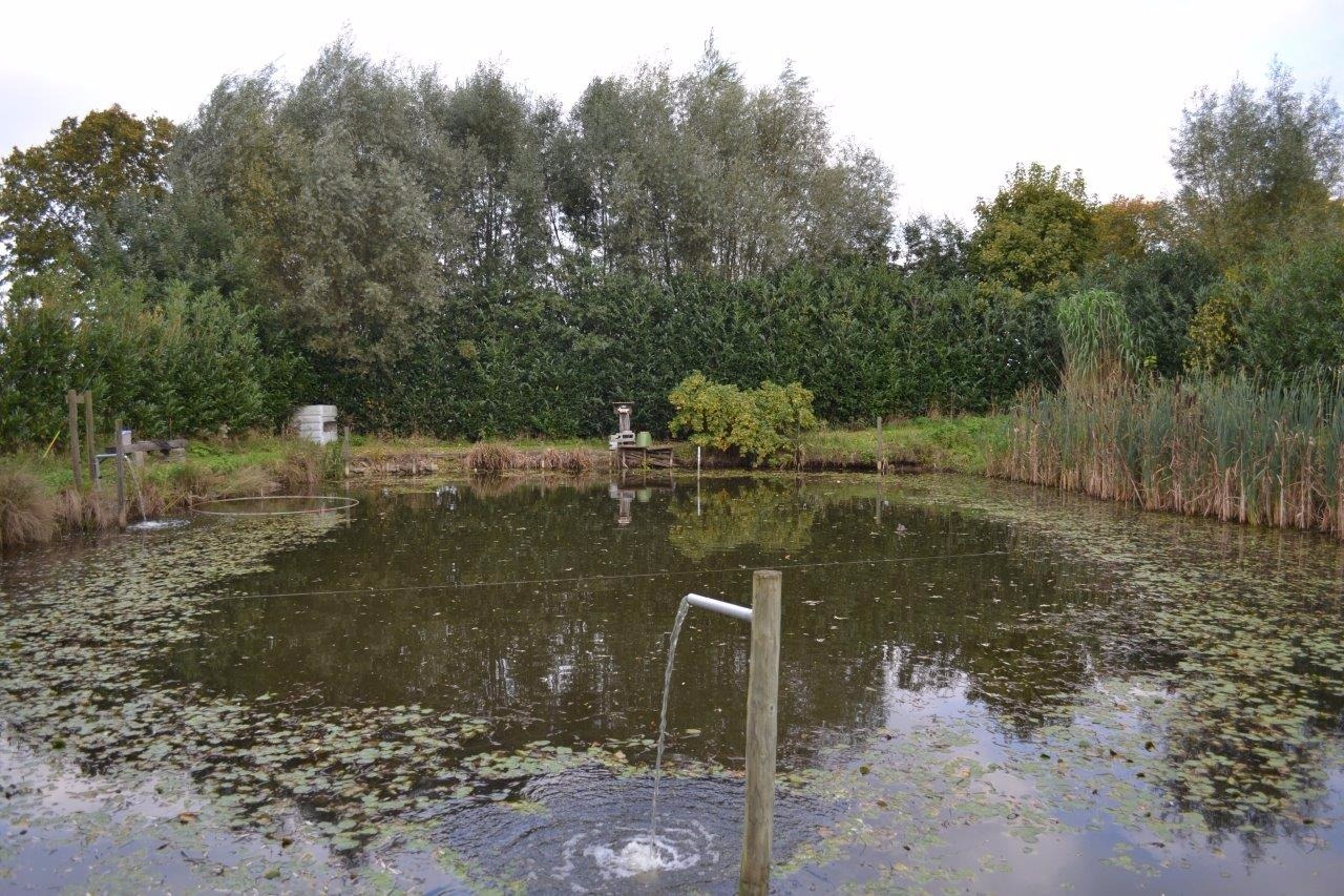 Leuke &#233;&#233;ngezinswoning op ca. 2,32ha te Geluveld (Zonnebeke) 