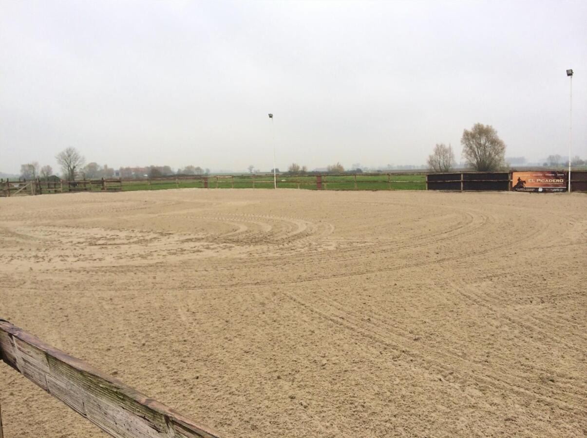 Hippisch complex met woonst op 4 Ha te Diksmuide 