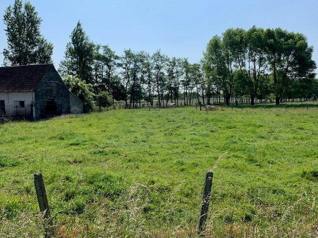 Te renoveren landelijke hoeve op prachtig perceel grond van ca. 2 hectare 