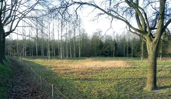 Farm sold in Gruitrode