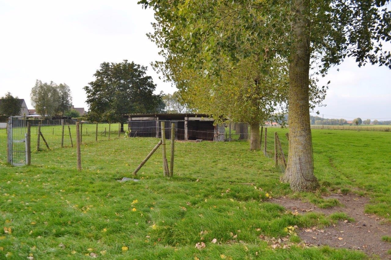 Leuke &#233;&#233;ngezinswoning op ca. 2,32ha te Geluveld (Zonnebeke) 