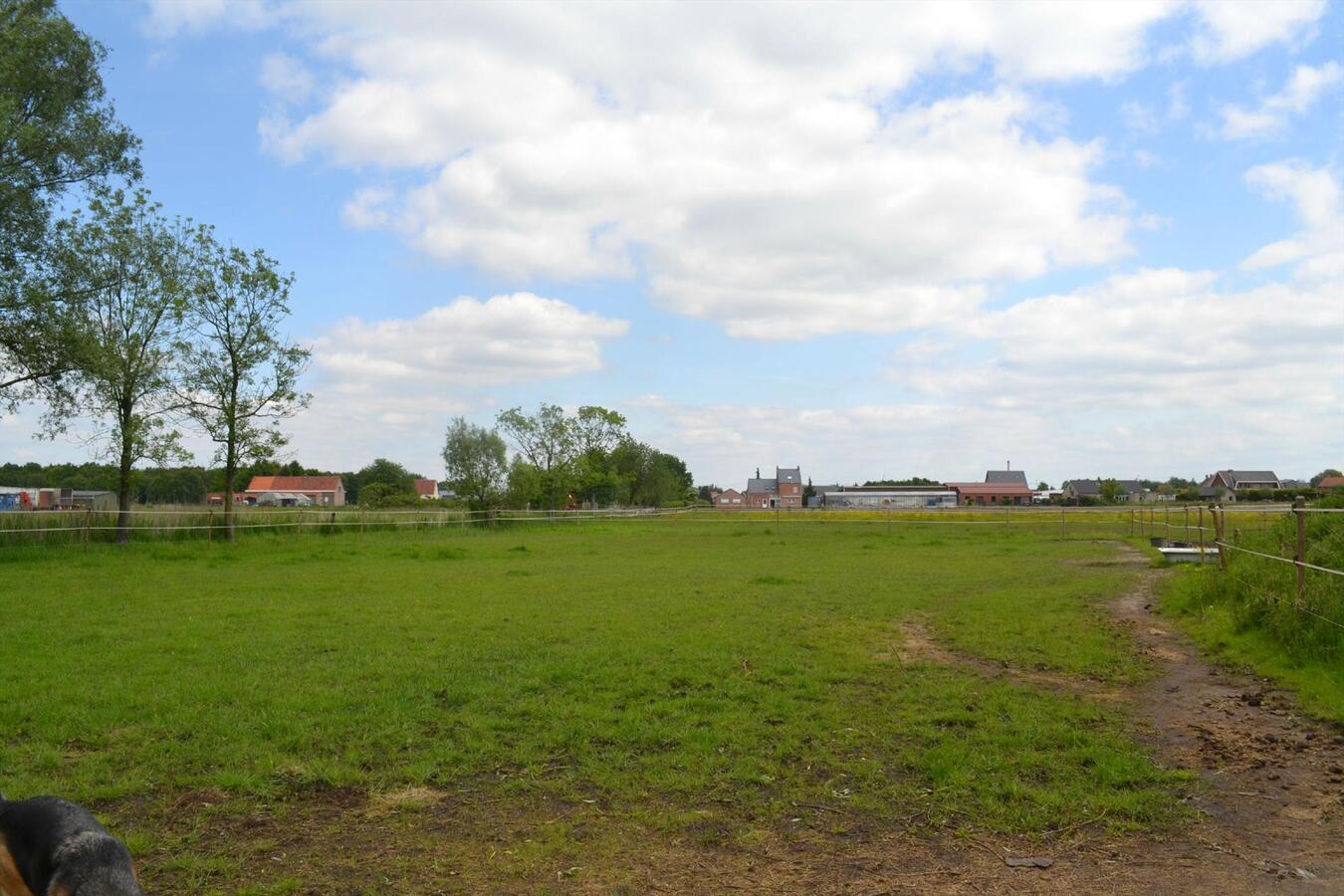 Grondig te renoveren hoeve of nieuwbouw met weide op ca. 1,2ha te Sint-Katelijne-Waver 