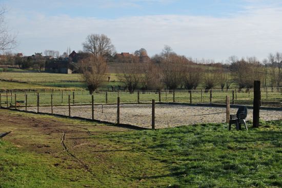 Hoeve met 10 stallen op 2,17 ha 