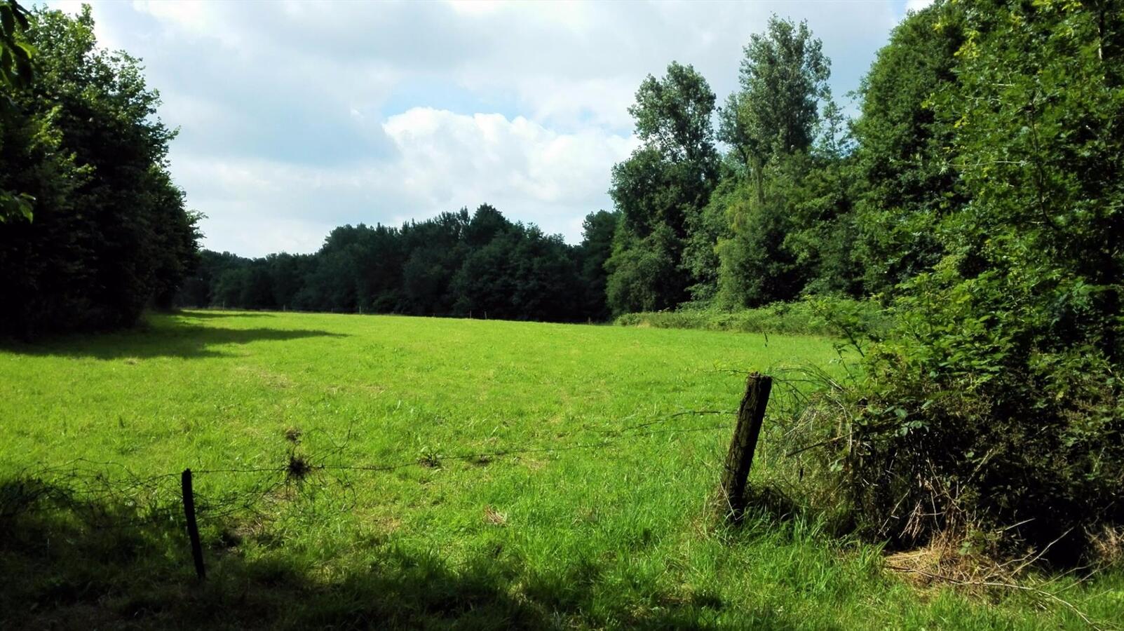 Woning met bijhorende gronden op unieke locatie (ca. 1,4ha) te Meeuwen-Gruitrode 