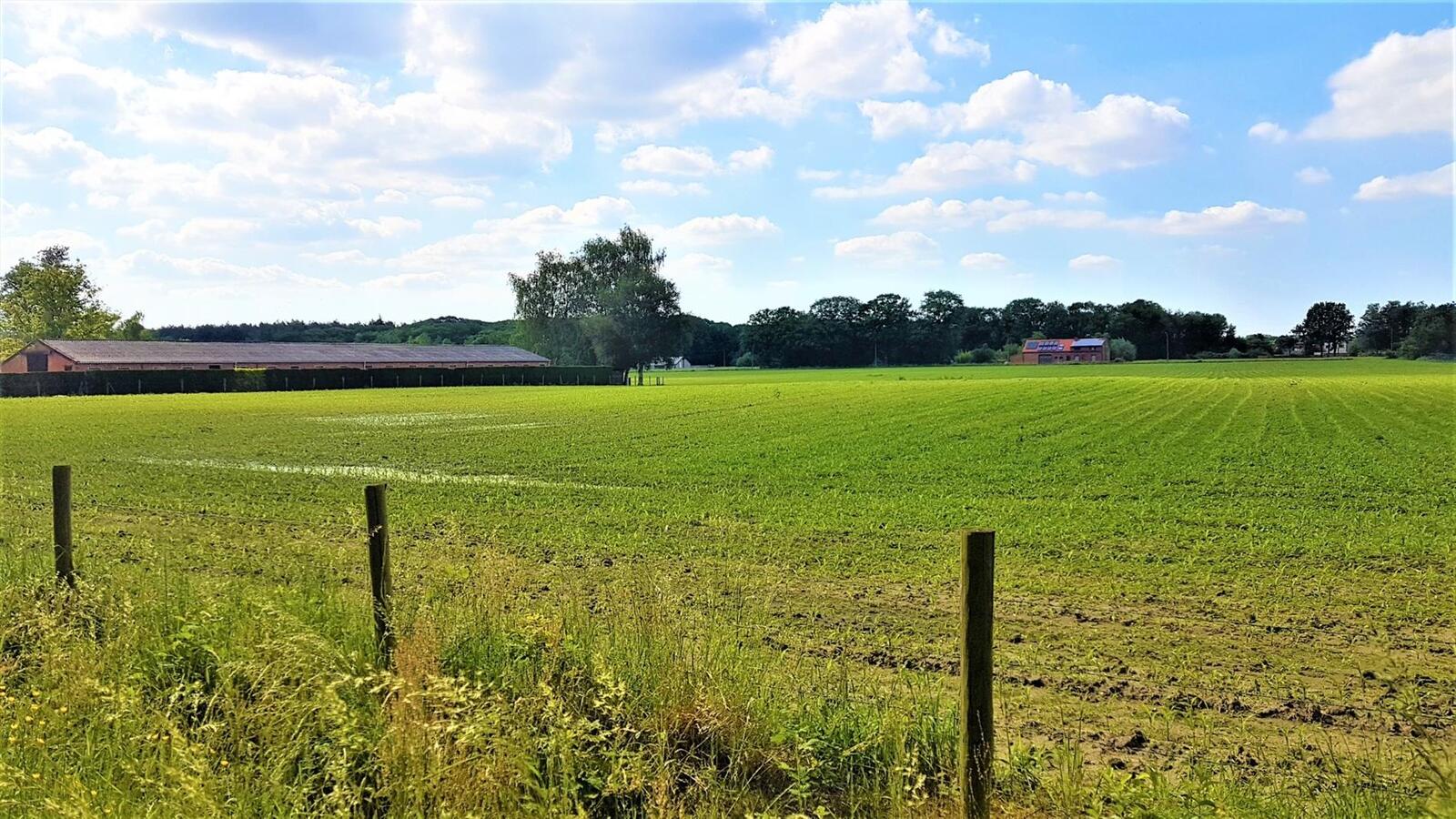 Ferme vendu À Tessenderlo