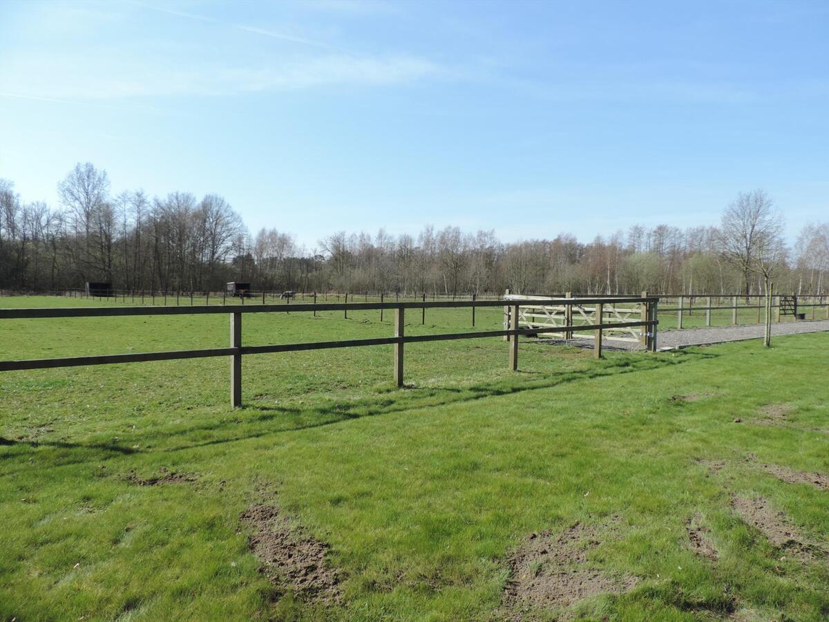 Prachtige gezinswoning met paardenstallen en buitenpiste op ca. 2,61ha te Lummen 