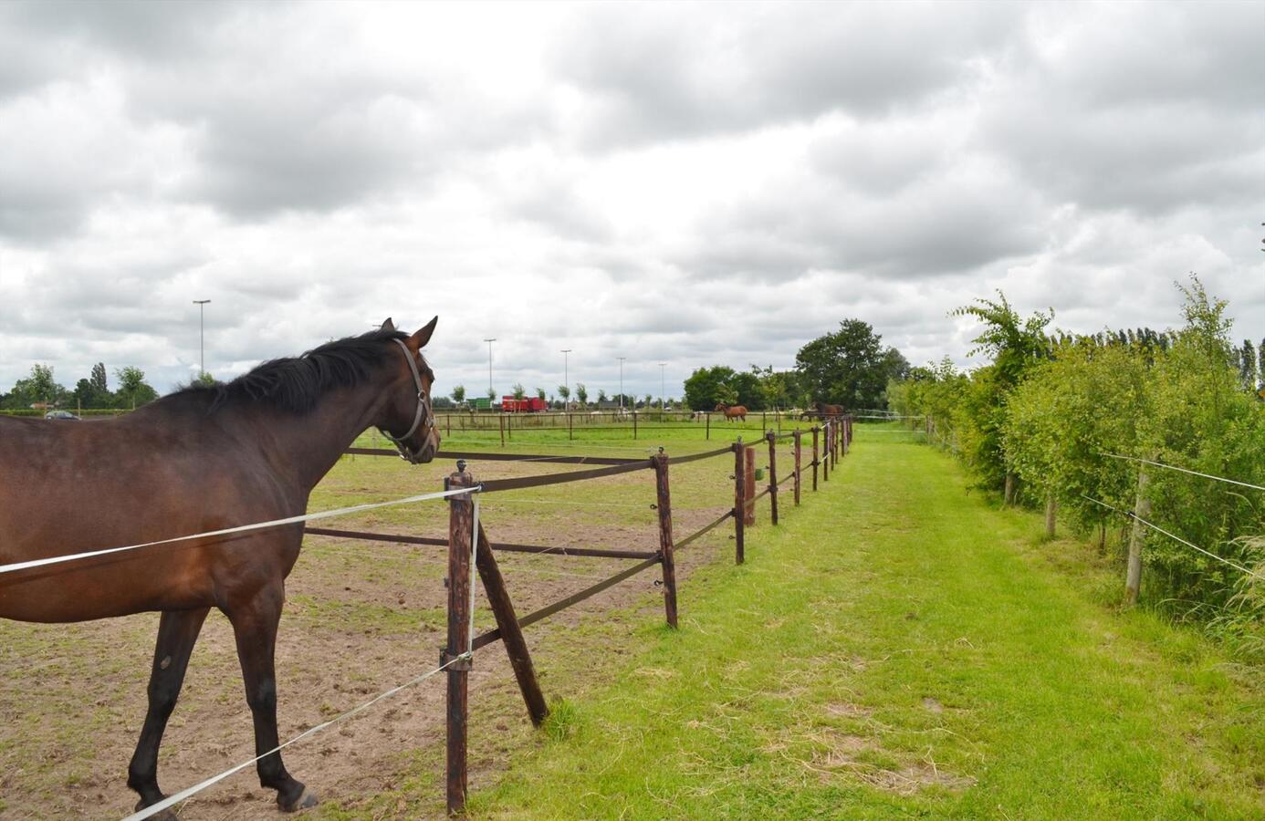 Charmante &#233;&#233;ngezinswoning met stallen en buitenpiste op ca. 5310M&#178; te Maldegem 