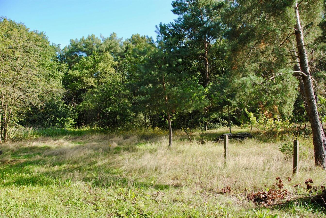 IN OPTIE: Te renoveren boerderij op ca. 4,1ha te Geel (Antwerpen) 