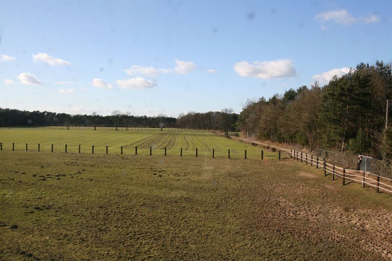 Paardenstoeterij op ca. 6ha met binnen-en butienpiste 