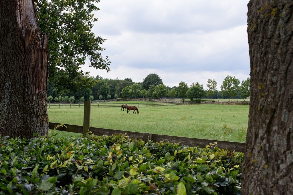 Exclusief domein met binnenpiste op ca. 20 ha te Meeuwen-Gruitrode 