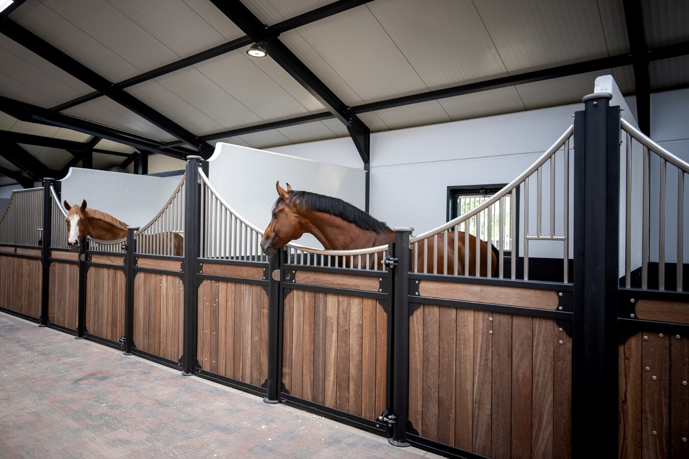 Exclusieve professionele hippische accommodatie (nieuwbouw) met villa op ca. 9 ha te Neerpelt 