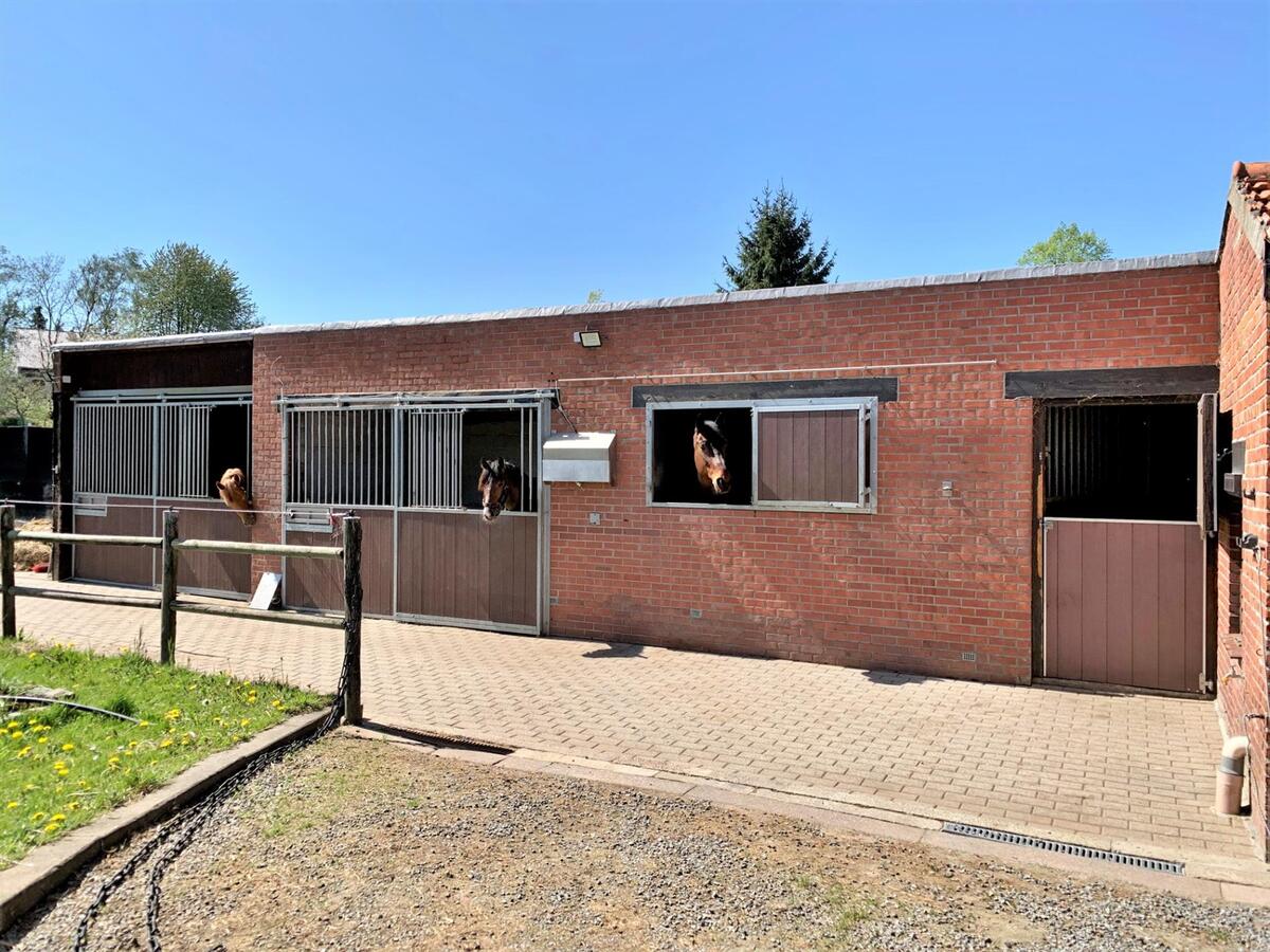 Renovated house with stable building, large barn and outdoor arena on approximately 43a in Boutersem (Flemish Brabant) 