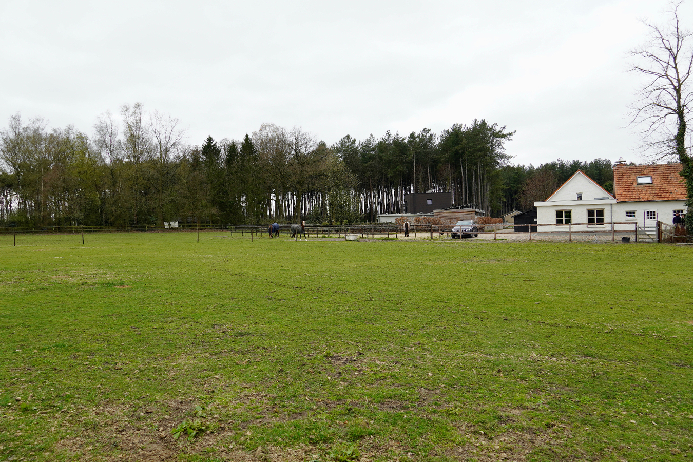 Charmante woning met stallen en aanhorigheden te Poppel op 1,1ha 