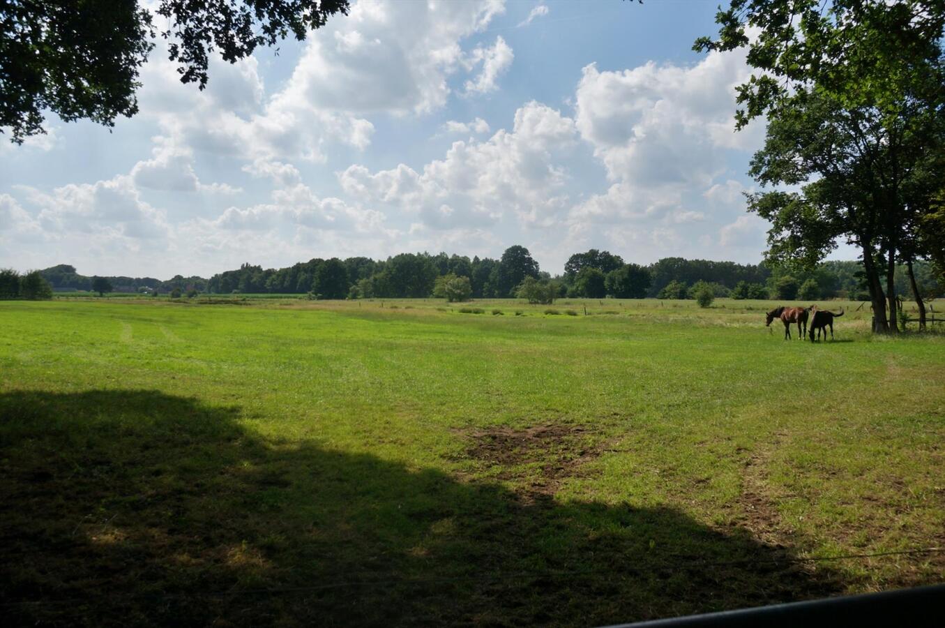 Farm sold in Diest