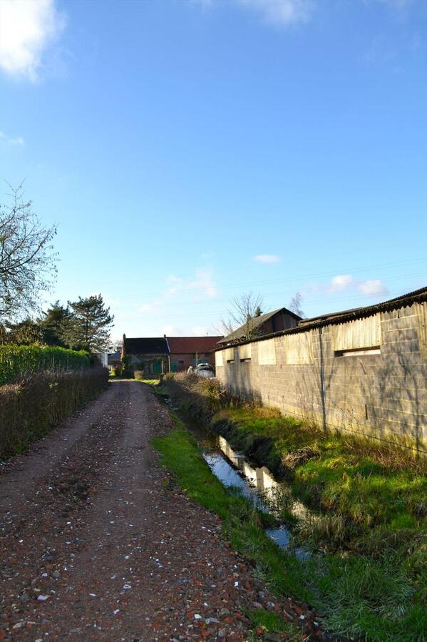 Te renoveren hoeve te St-Pauwels op 1,37Ha 