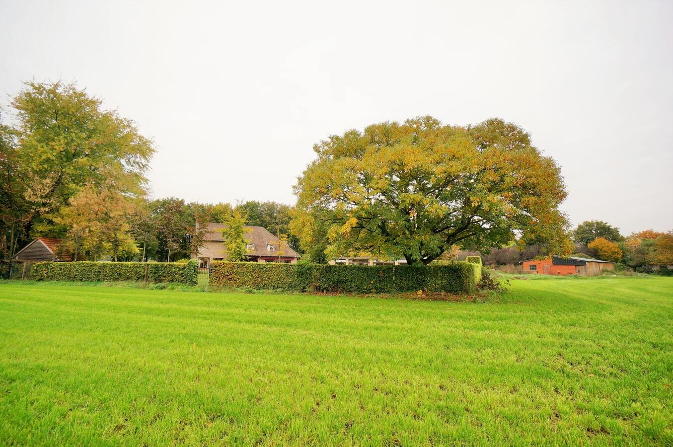 Prachtig landhuis met 5 stallen en weide op ca. 1,4 ha te Westerlo 