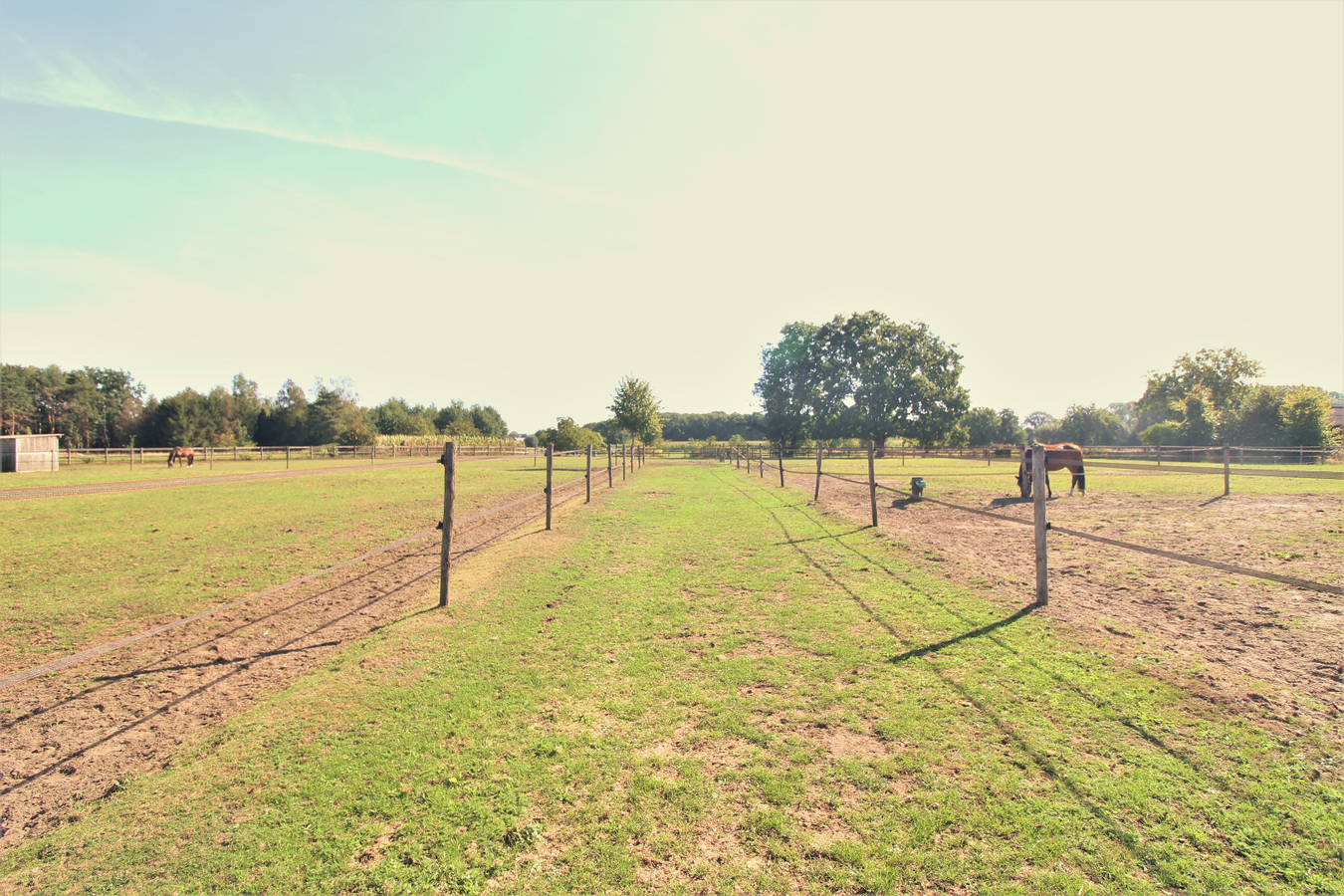 IN OPTIE - Uitzonderlijk charmante villa met paardenaccommodatie en weilanden op ca. 1,53ha te Keerbergen (Vlaams-Brabant) 