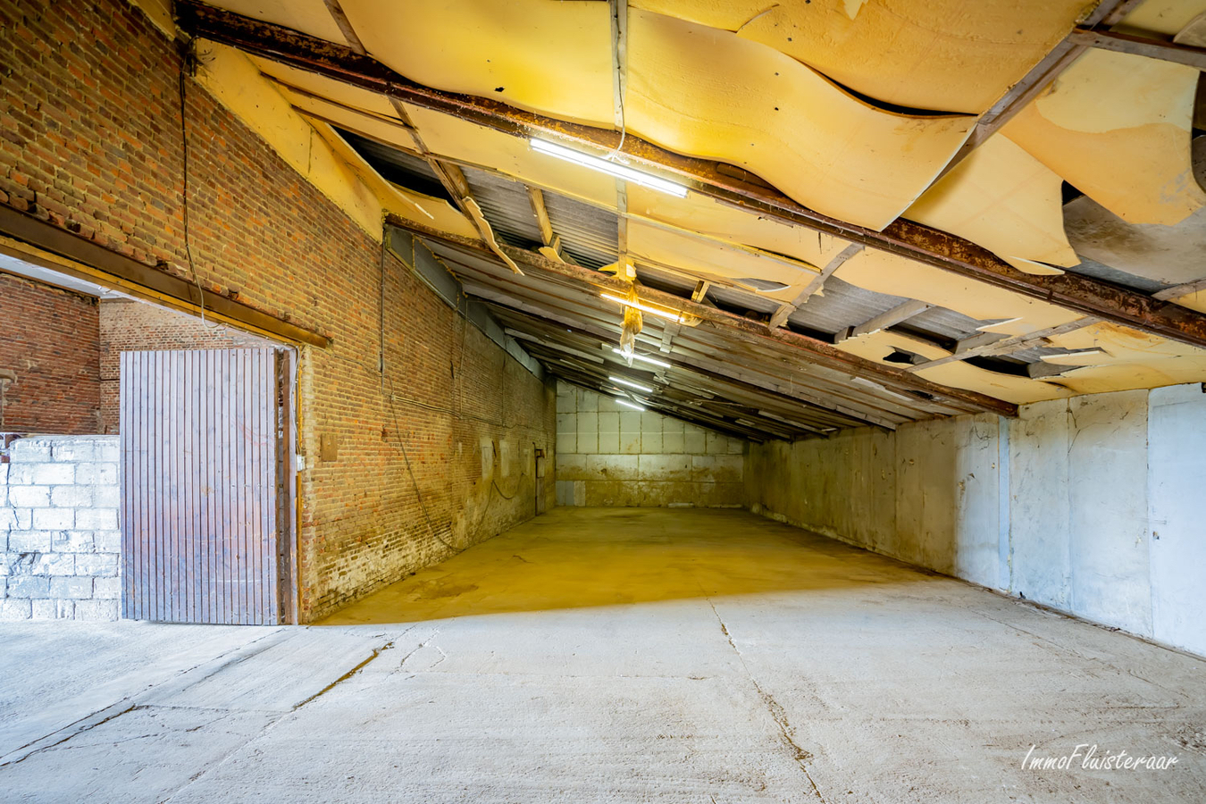 Ruim perceel met groot stalgebouw en te renoveren woning midden in het groen op ca. 8 ha te Halen 