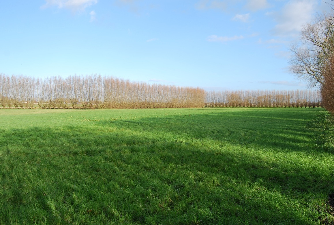 Hofstede met schuur op 2,24ha te Kruishoutem 