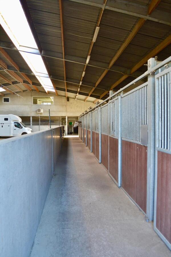 Unieke kans op paardenaccommodatie met binnenpiste (15m x 30m) en appartement op ca. 1,3 Ha te Waasmunster - NIEUWE PRIJS 