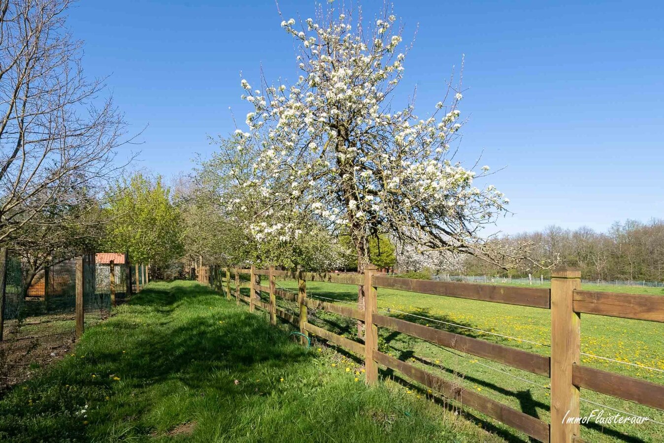 Uniek gelegen ruime vierkantshoeve op ca. 4,2 ha te Aarschot (Vlaams-Brabant) 