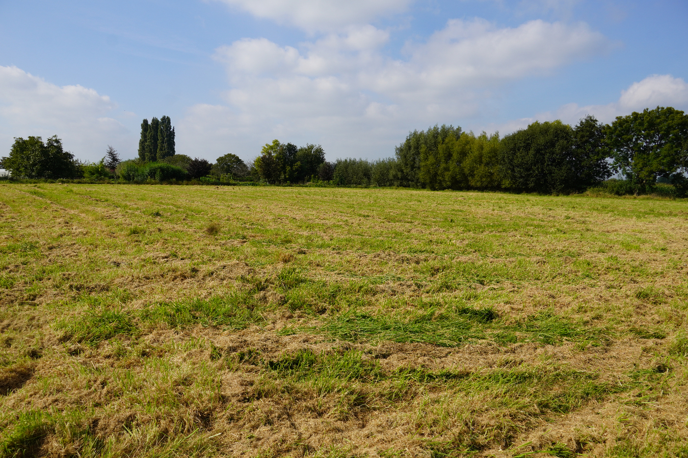 Bouwgrond op 6a 6ca met achterliggende weide gelegen te Lier 