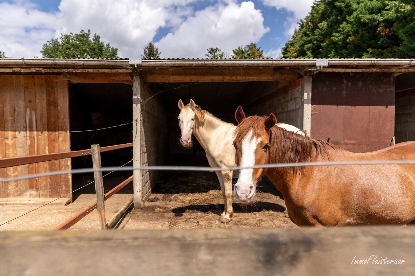 Paardenaccommodatie met 46 stallen, buitenpiste en hangaar op ca. 55 are te Linkhout (Lummen) 