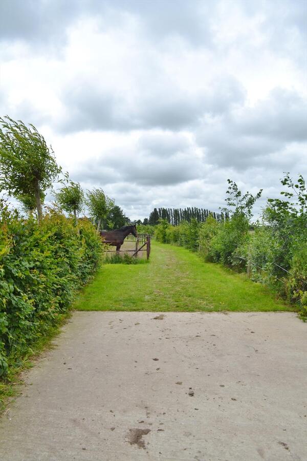 Charmante &#233;&#233;ngezinswoning met stallen en buitenpiste op ca. 5340M&#178; te Maldegem 