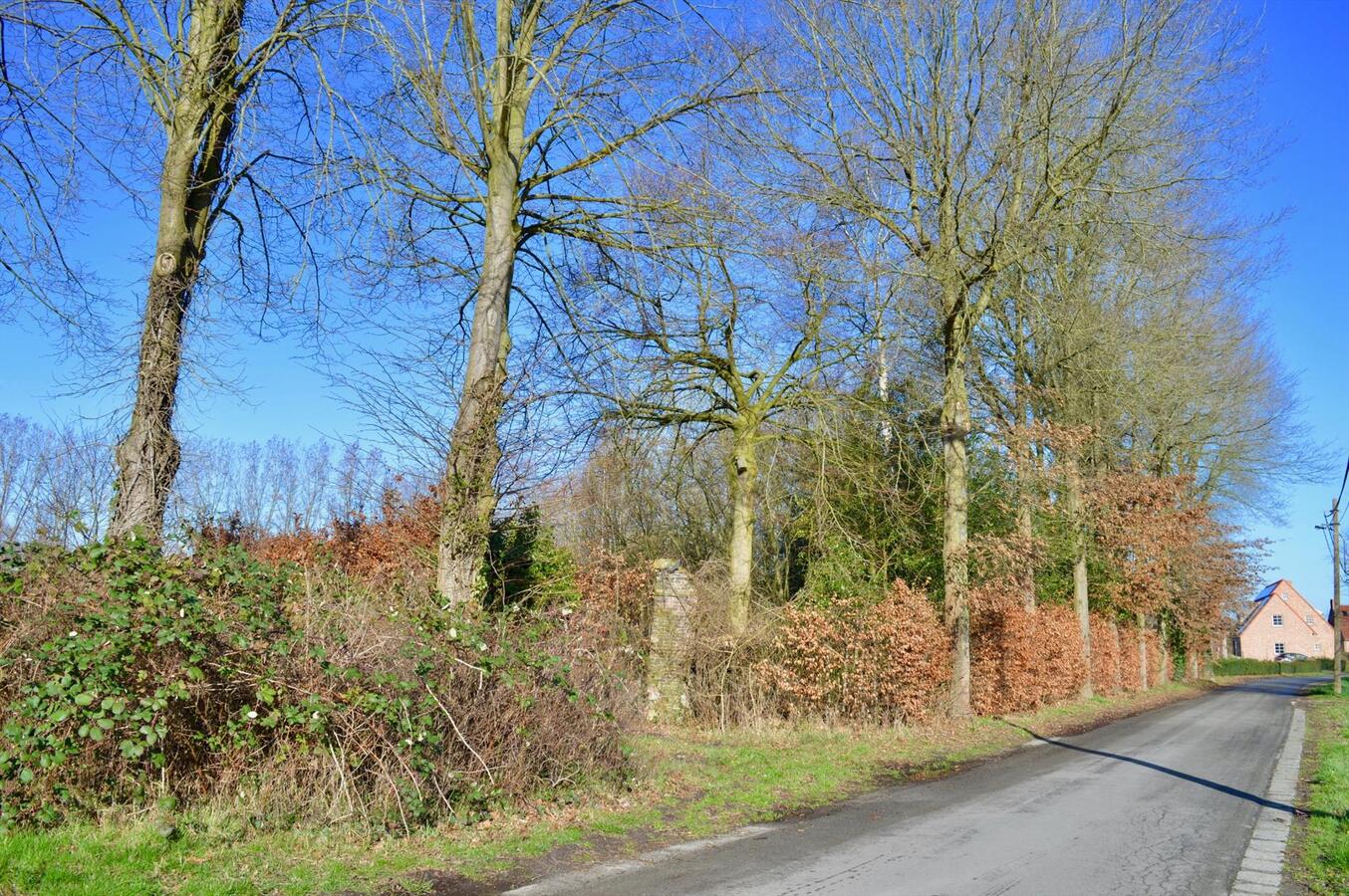 Mooi gelegen perceel bouwgrond met akkerland (weiland) van ruim 2,3Ha te Destelbergen 