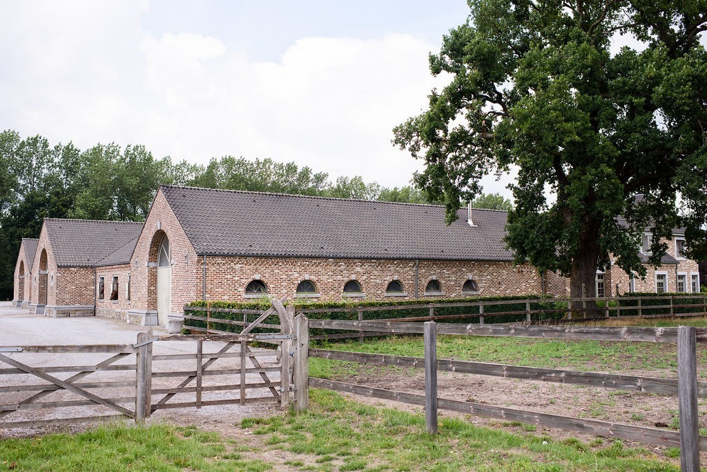 Exclusive domain with indoor arena on approximately 20ha in Meeuwen-Gruitrode 