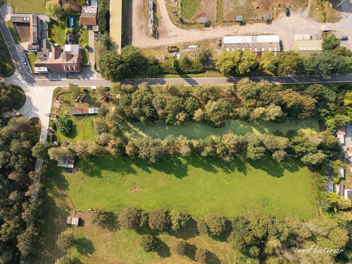 Woonhuis met een weide op ca. 68 are in een bosrijke omgeving te Beverlo 